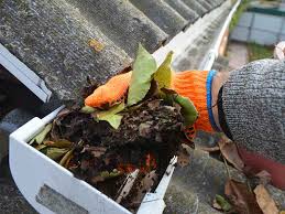 Pulizia grondaie Lux Prim Services Tel. 3516250504 Rimini pulizia dei tetti e delle coperture a a Pesaro e Urbino e Provincia di Rimini